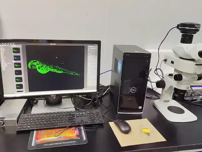 Enhanced Visual Inspection: Stereo Microscopy for Surface and Structural Analysis