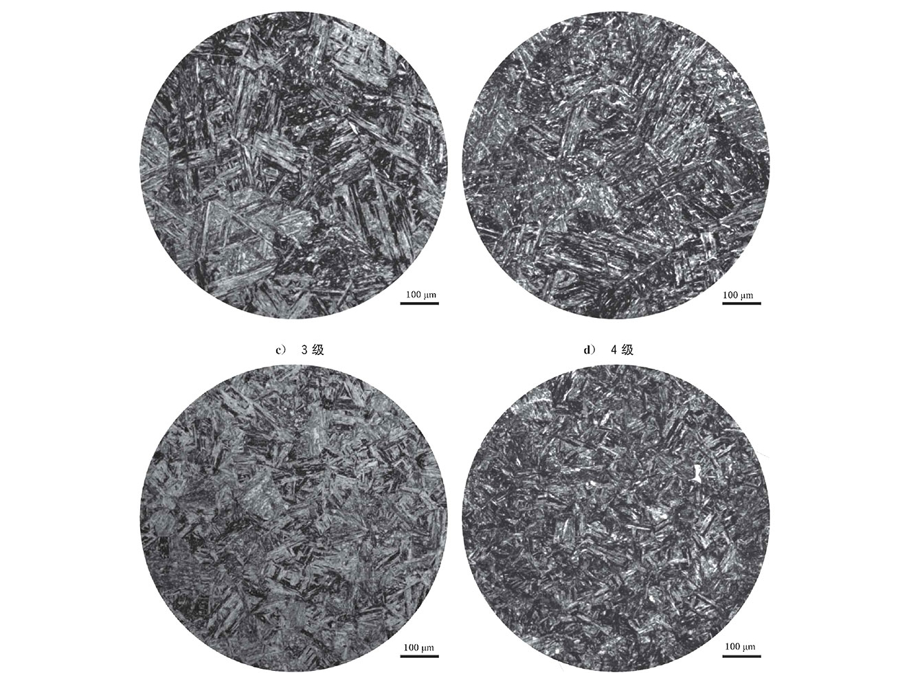 Microstructure Integrity: Metallographic Analysis for Defect-Free Metal Casting